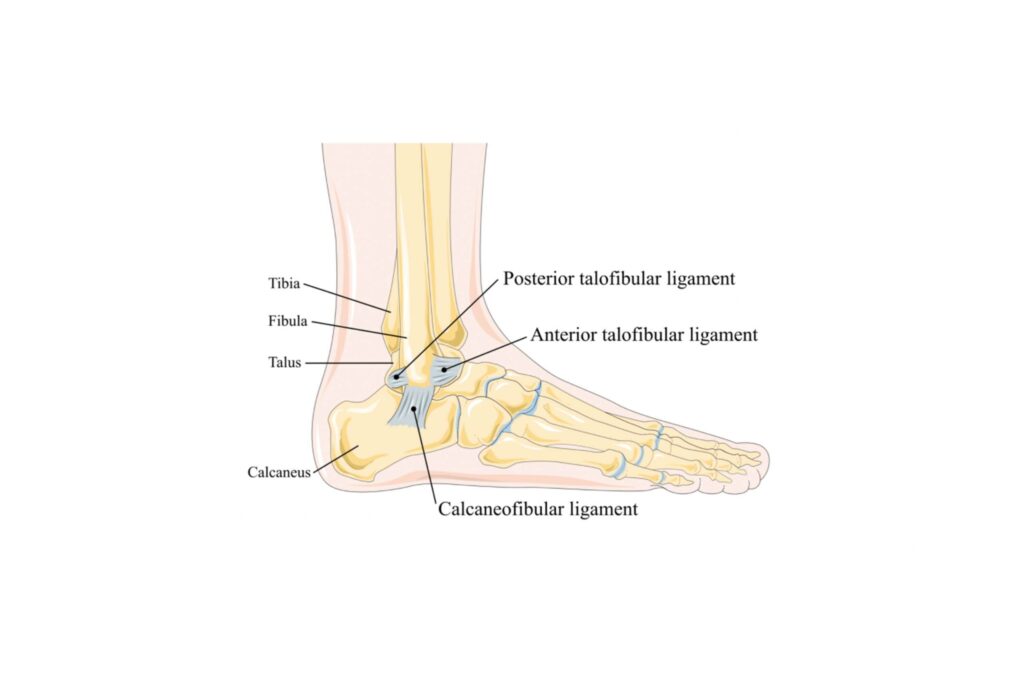 Bring Peace and Love to Your Ankle Sprain Recovery