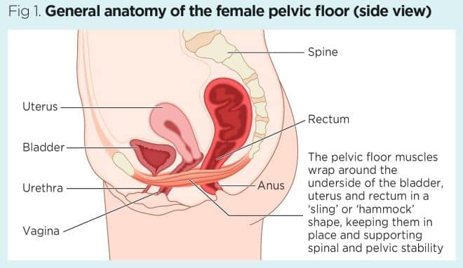 Urinary Incontinence